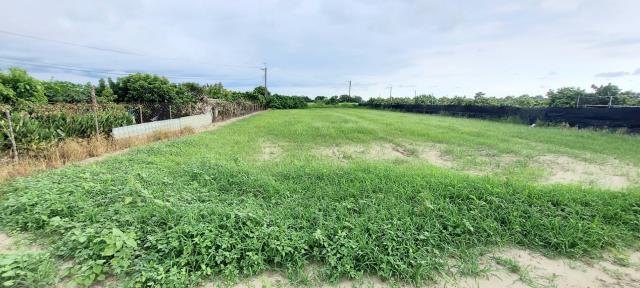 台南農地-12