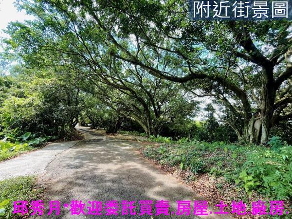 三芝農地-12