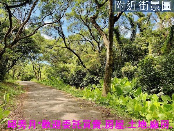 三芝農地-13