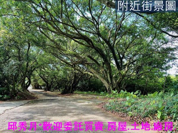 三芝農地-14