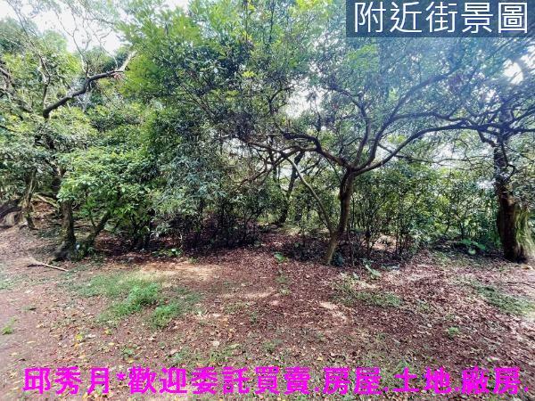 三芝農地-6