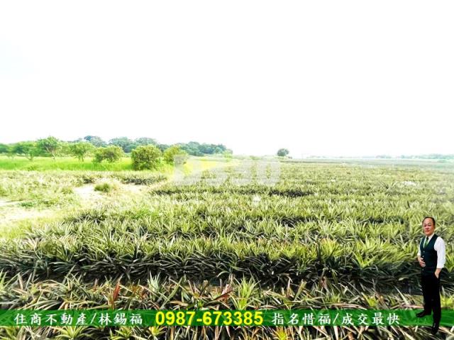 關廟農地-2