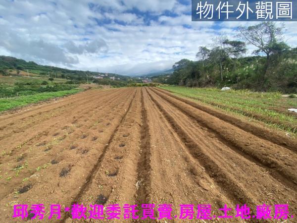 淡水農地-1