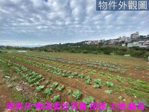 淡水農地-4