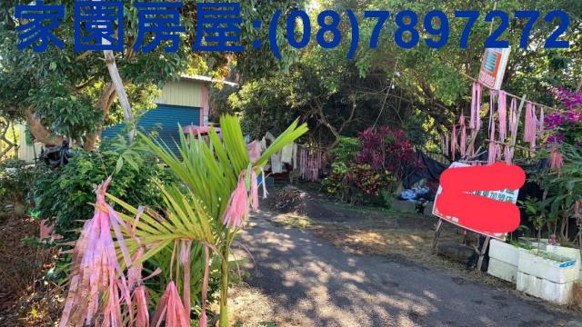 屏東高樹農地-12