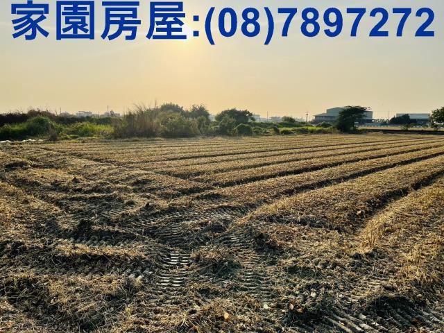 屏東萬丹農地-2