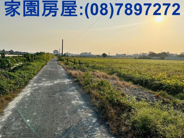 屏東萬丹農地-3