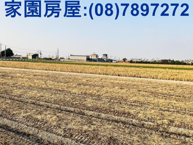 屏東萬丹農地-4