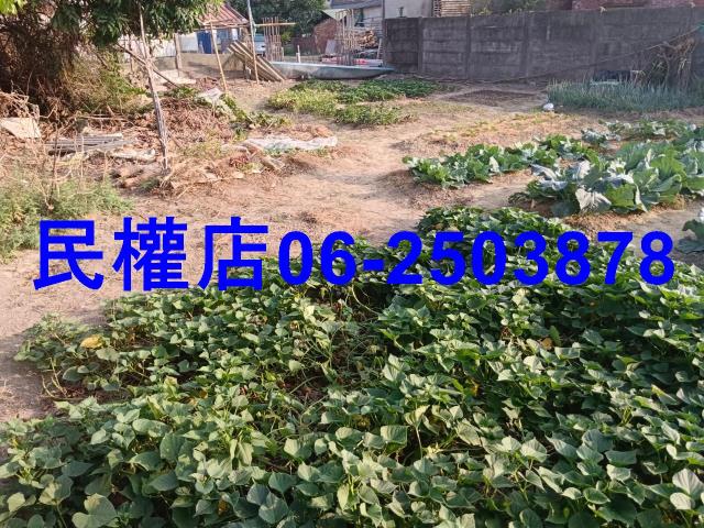 六甲建地-10