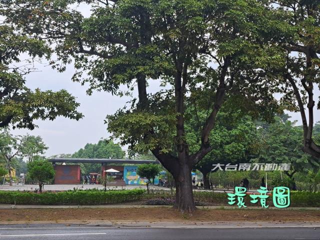 山上農地-4