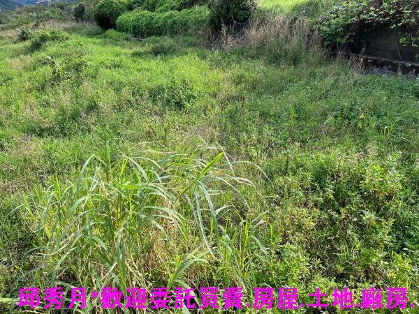 新北石門都市計畫內-4
