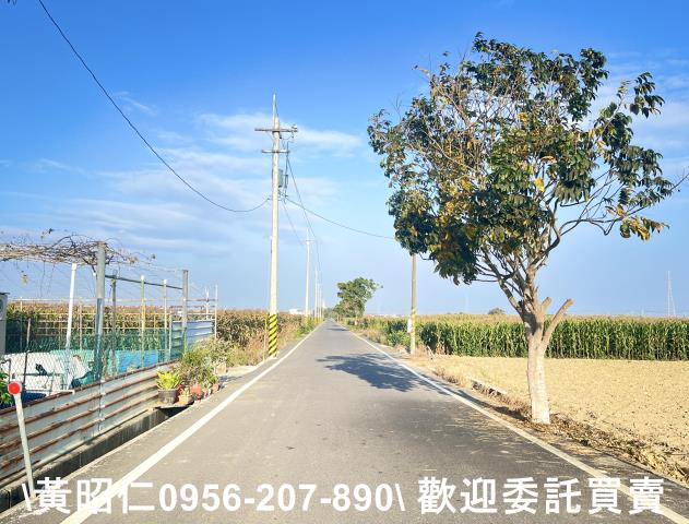 新營農地-2