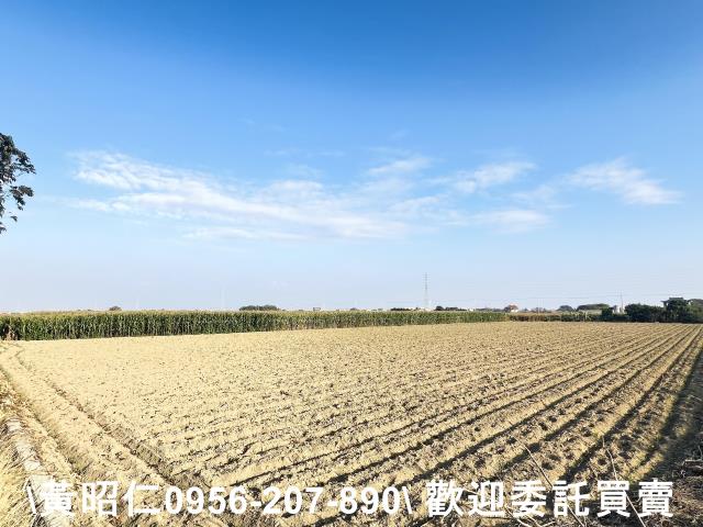 新營農地-5