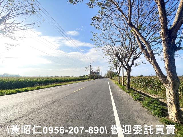 新營農地-6