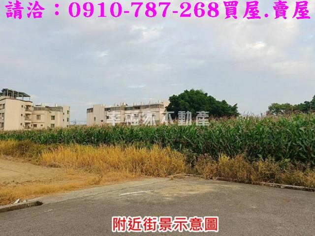 台南農地-10