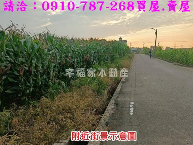 台南農地-11