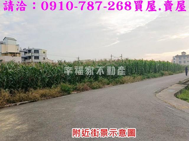 台南農地-12