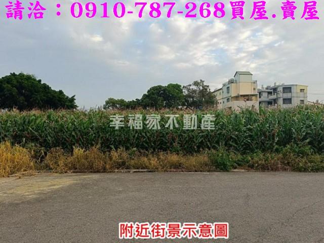 台南農地-14