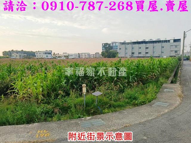台南農地-15