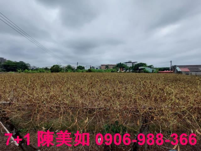 高雄大社農地-1