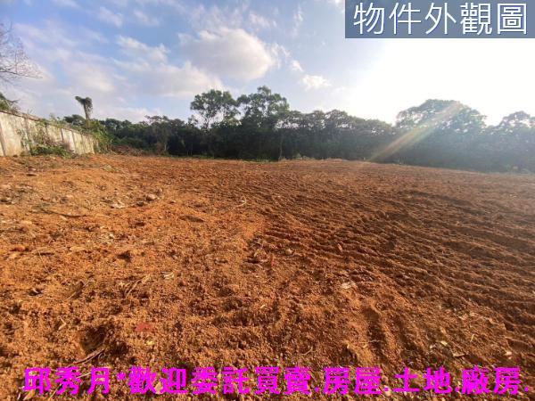 新北農地-4
