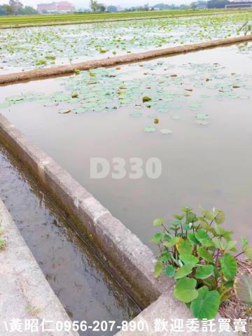 台南農地-15