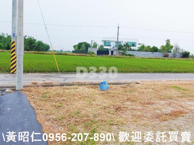 台南農地-6