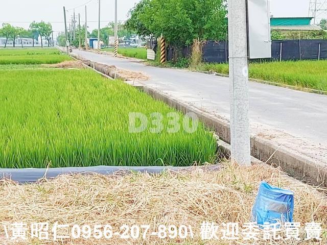 台南農地-9