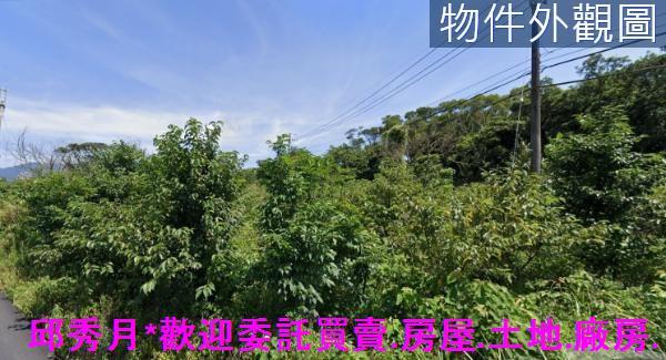 淡水農地-3