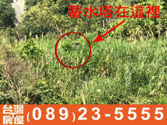 台東農地-4