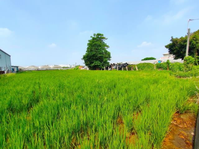溪湖農地-4