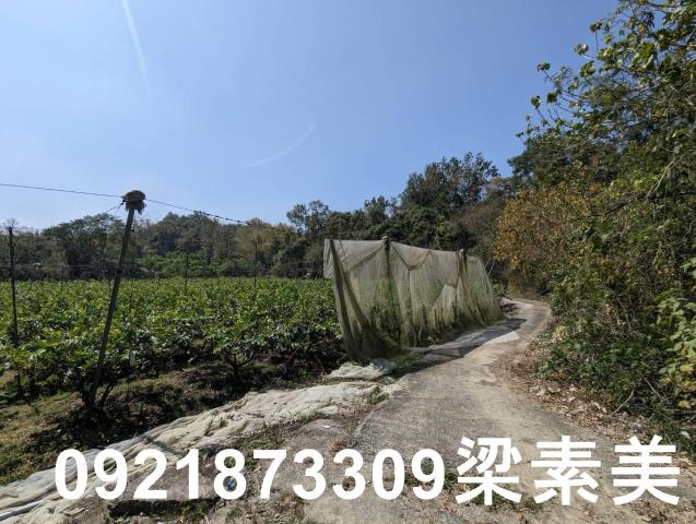 台南玉井農地-10