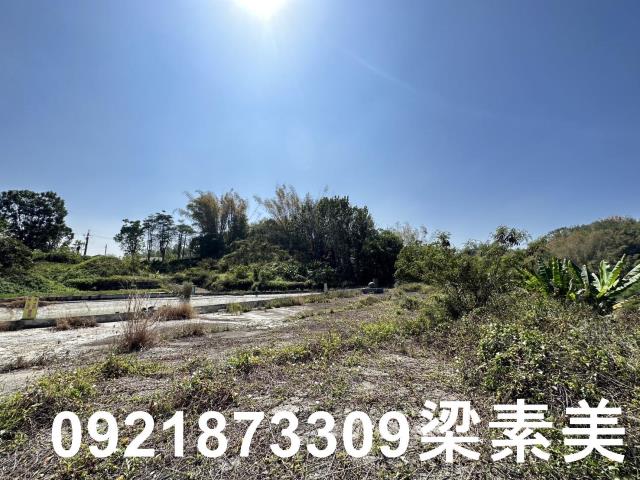 台南玉井農地-5