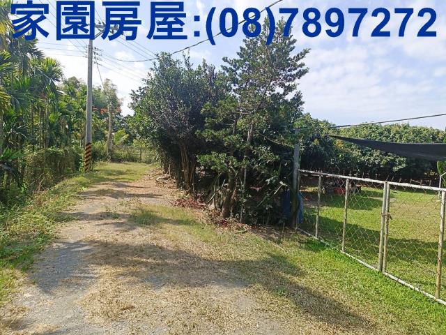 屏東南州農地-1