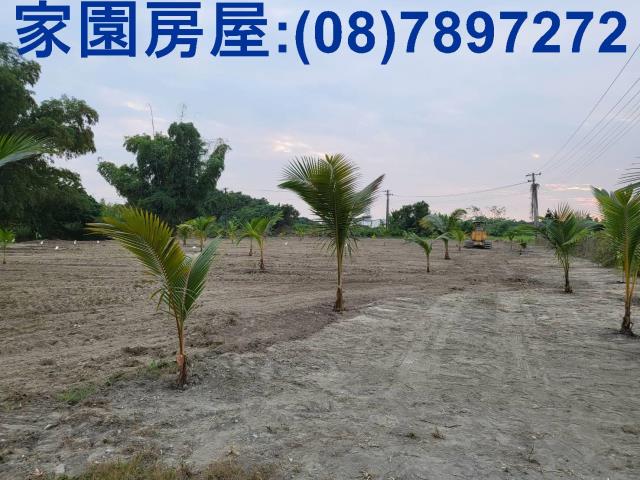 屏東南州農地-5