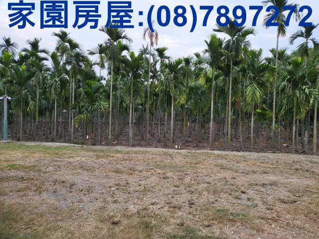 屏東南州農地-6