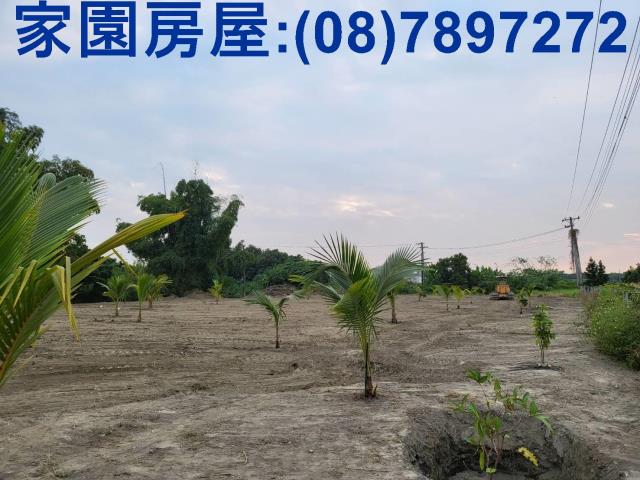 屏東南州農地-8