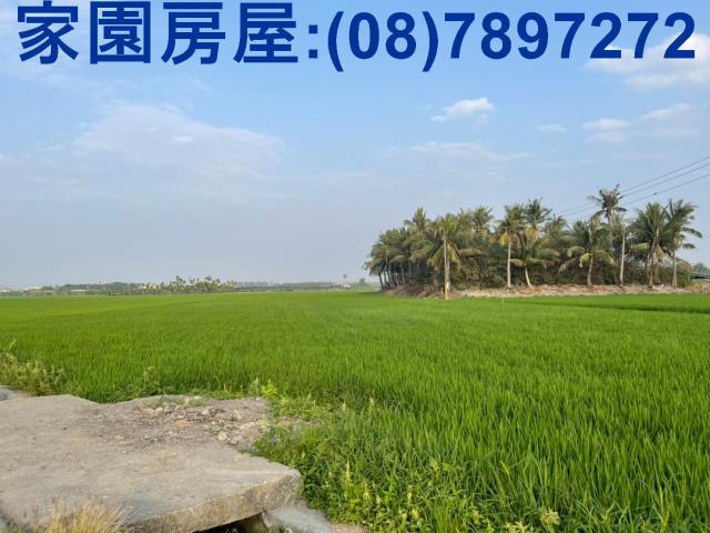 屏東南州農地-1