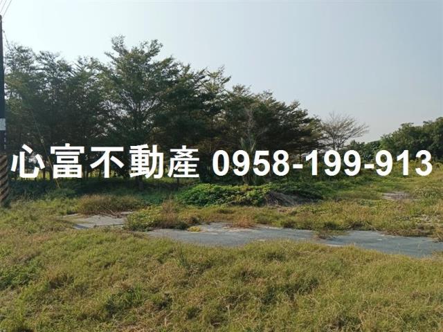 歸仁農地-3