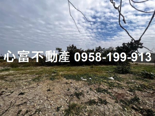 台南麻豆工業地-1