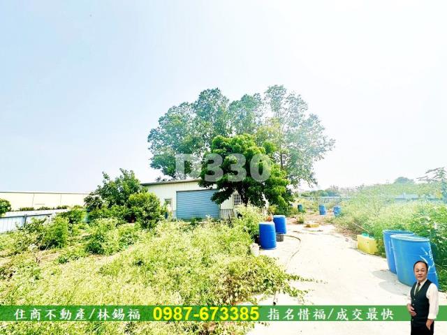 善化農地-2