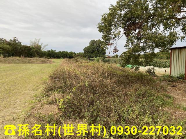 高雄梓官農地-1