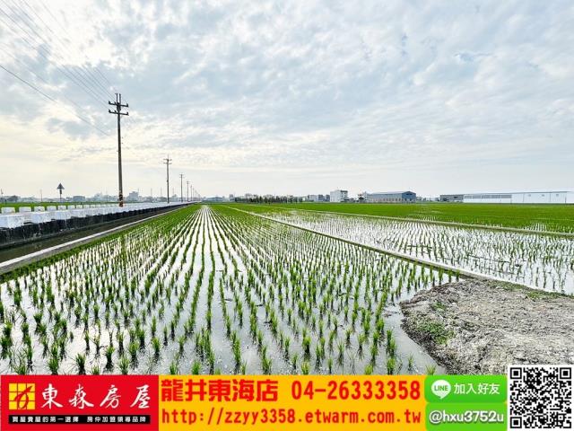 台中龍井農地-10