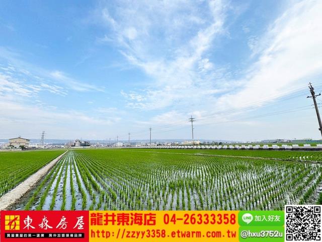 台中龍井農地-8