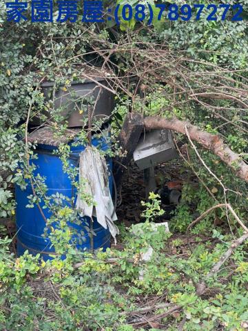 屏東南州農地-3