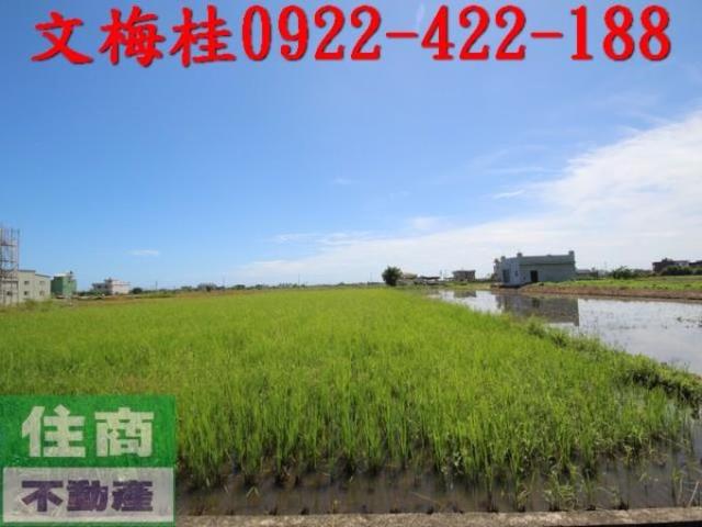 宜蘭礁溪農地-6