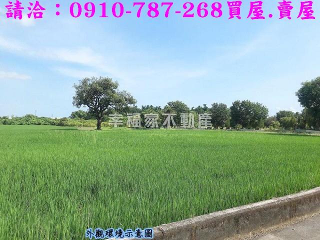 台南官田農地-3