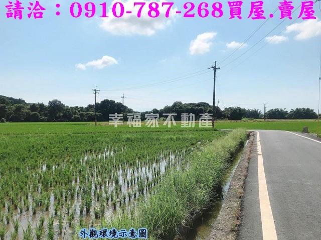 台南官田農地-4