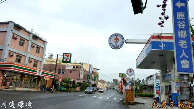 南投鹿谷山坡地-6