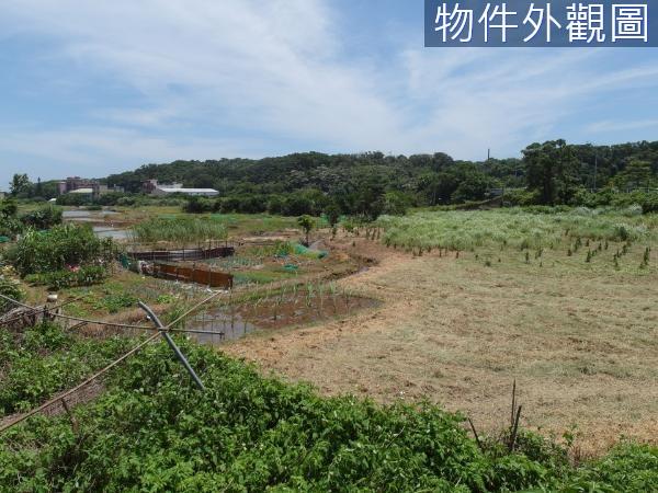 新北都市計畫土地-2